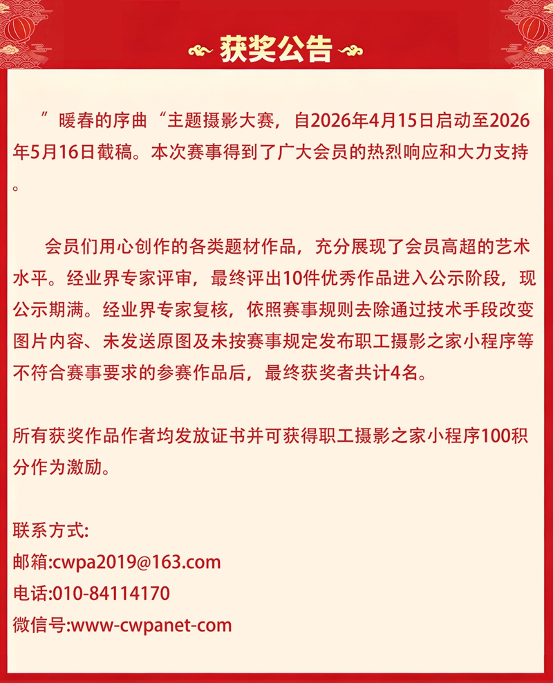 公告.jpg